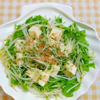 小エビと水菜の豆腐サラダ